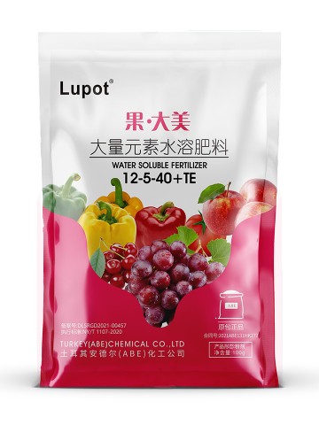 果·大美